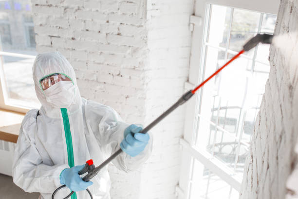 Best Water Damage & Mold Remediation  in Old Miakka, FL