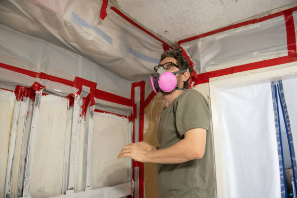 Best Mold Removal for HVAC Installations  in Old Miakka, FL