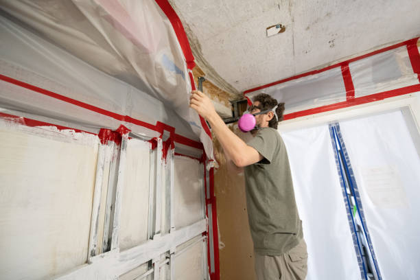 Best Commercial Mold Inspection  in Old Miakka, FL