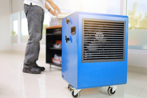 Best Emergency Mold Remediation  in Old Miakka, FL