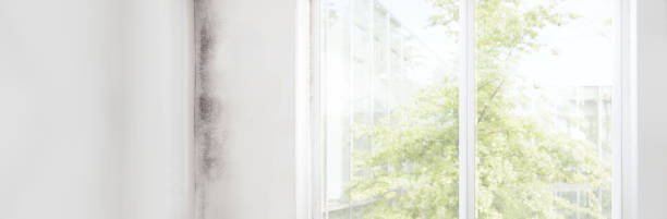 Best Indoor Air Quality Assessment  in Old Miakka, FL