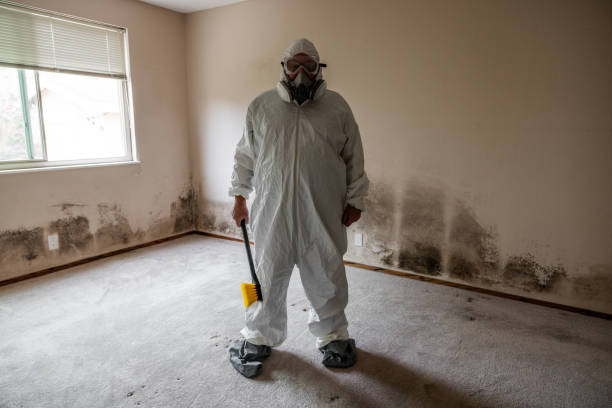 Forensic Mold Investigation in Old Miakka, FL