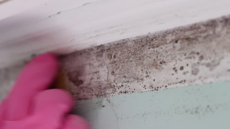 Best Post-Remediation Verification Testing  in Old Miakka, FL